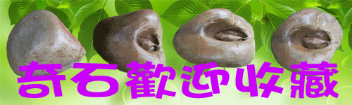 奇石收藏