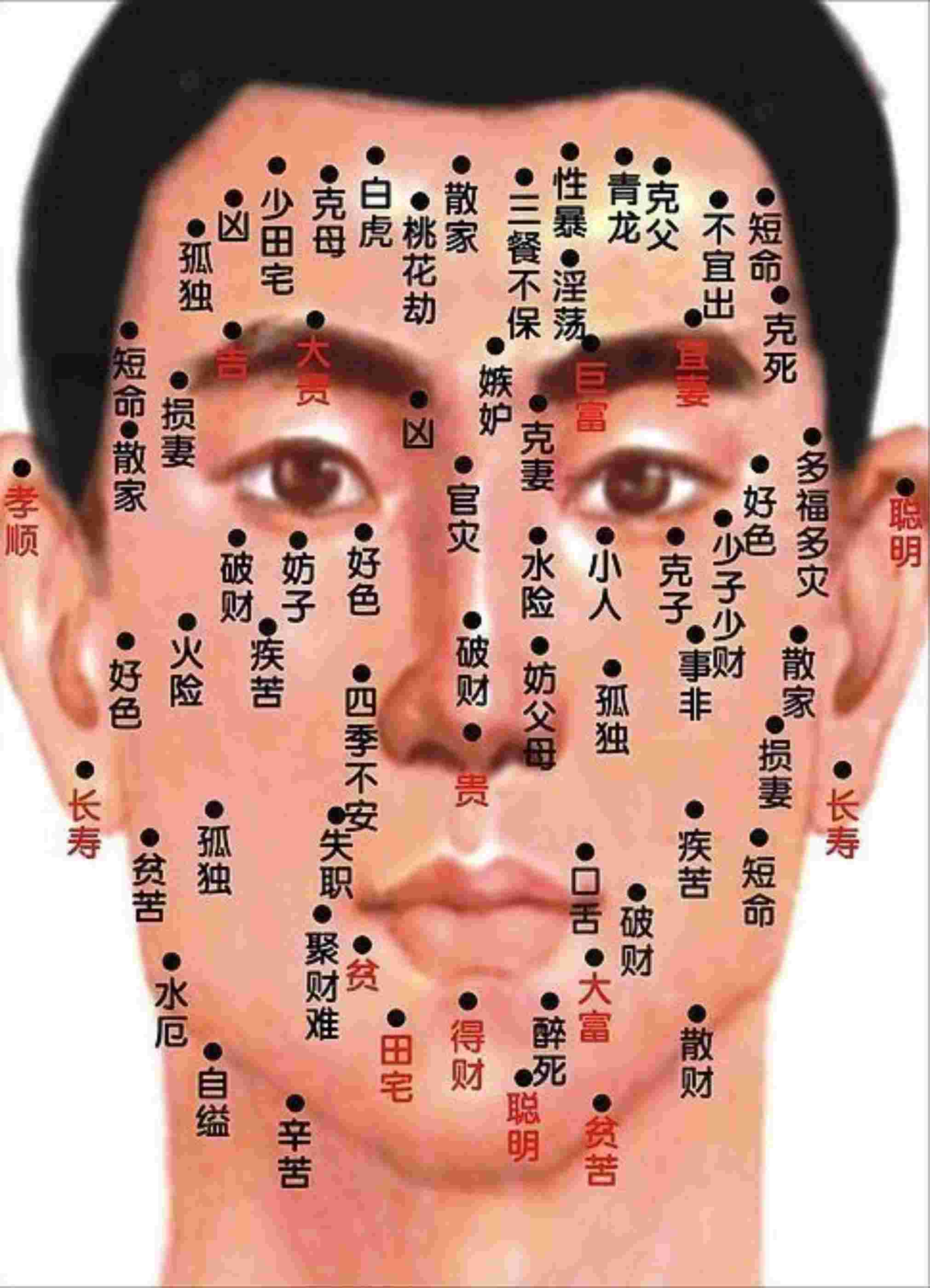 xϮg